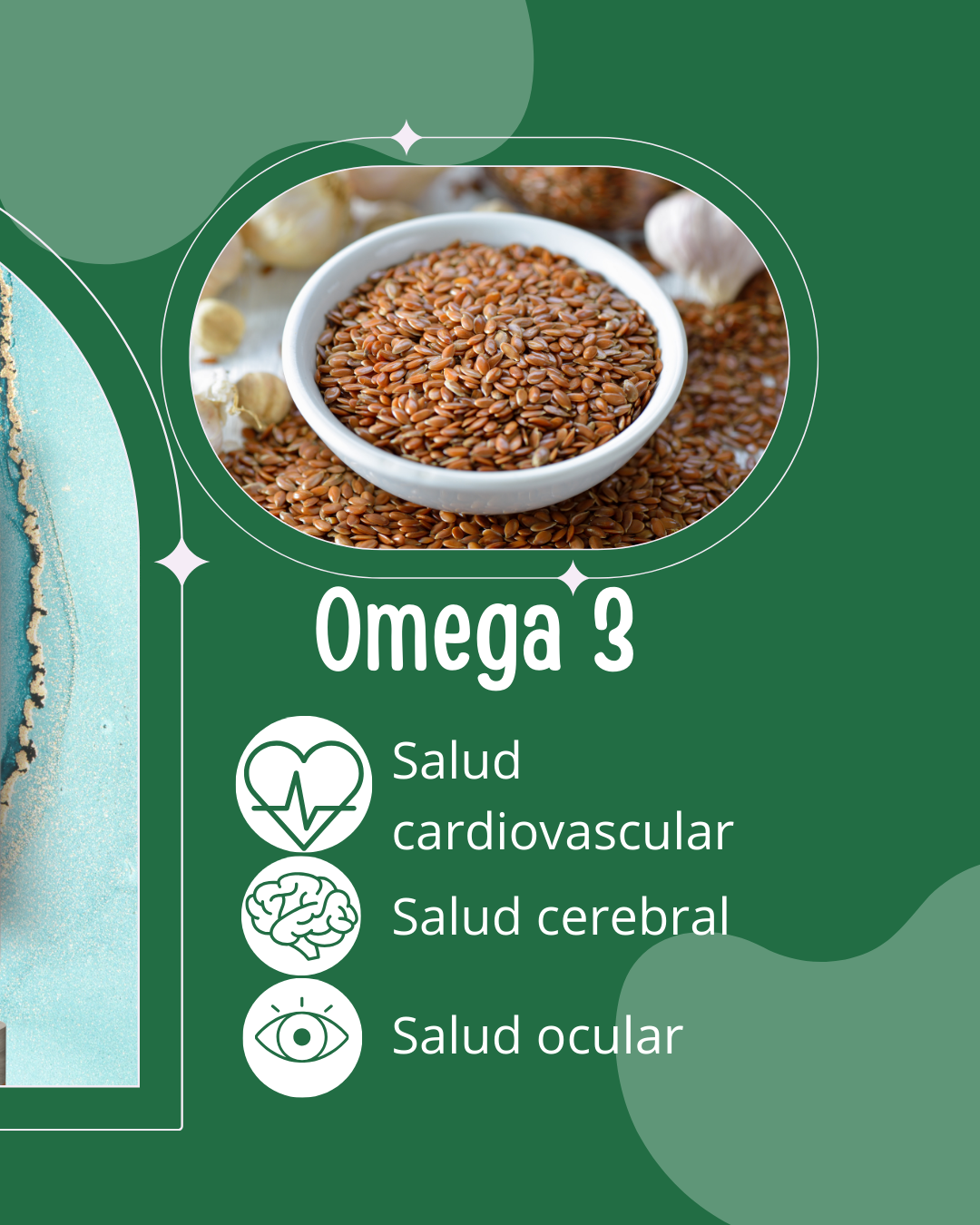 Omega 3-6-9 de Origen Vegetal - 60 Cápsulas Blandas