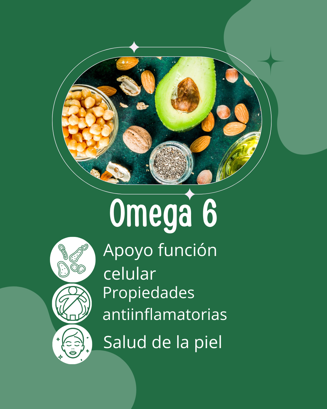 Omega 3-6-9 de Origen Vegetal - 60 Cápsulas Blandas