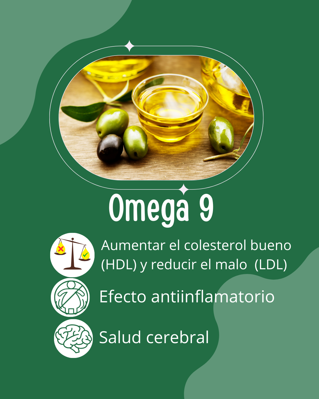 Omega 3-6-9 de Origen Vegetal - 60 Cápsulas Blandas